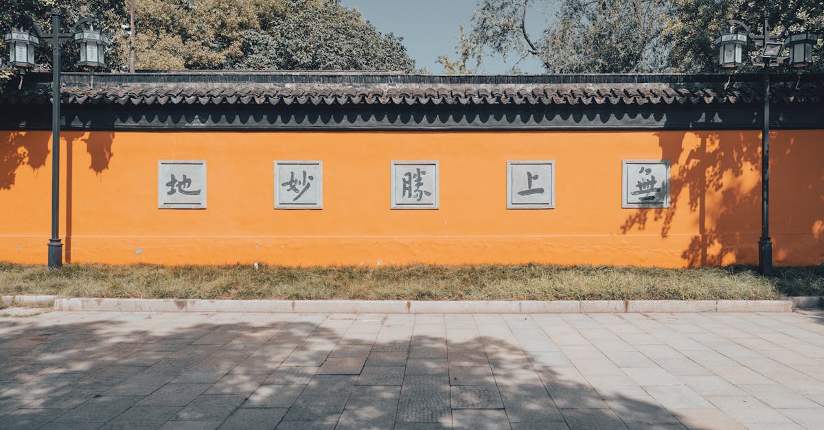 Do plumbers deal with blocked drains?