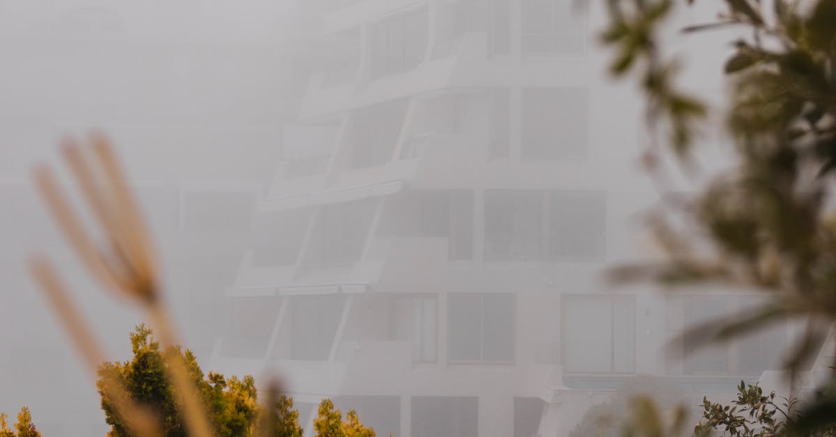 How do professionals unblock drains?