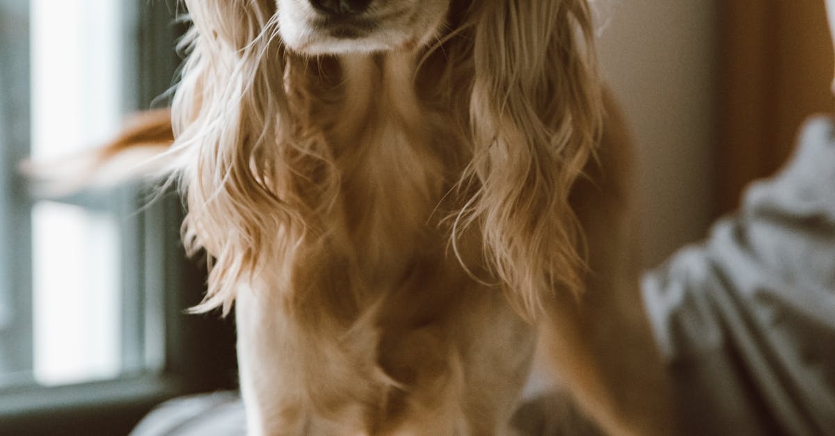 How do you unclog the worst drain?