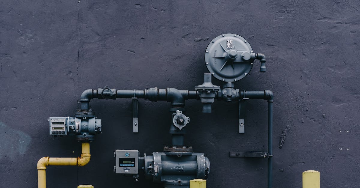 Who repairs a leaking tap in your house?